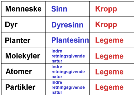 Tosidig natur indre og ytre