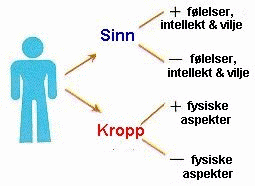 Sinn, kropp, yin og yang