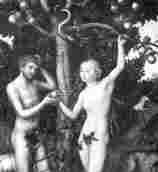 Adam og Eva og frukten