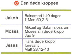 Den døde kroppen